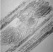 Bogotá. Frotage con grafito. 2004.